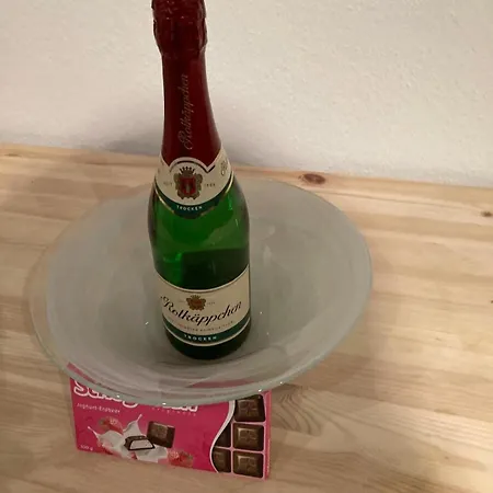 Cozy Big Luxus Schwetzingerstadt Oststadt Μάνχαιμ