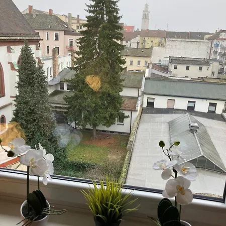 Cozy Big Luxus Schwetzingerstadt Oststadt 아파트