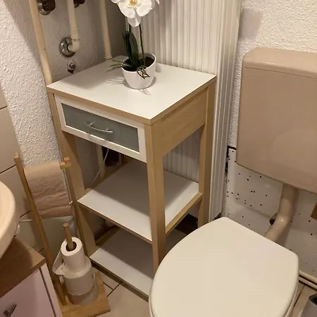 Cozy Big Luxus Schwetzingerstadt Oststadt 만하임