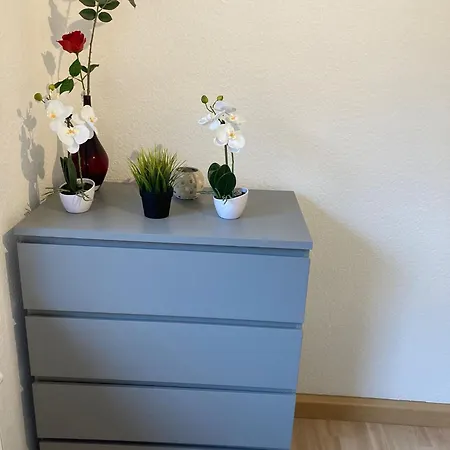 아파트 Cozy Big Luxus Schwetzingerstadt Oststadt *