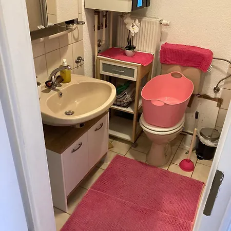 아파트 Cozy Big Luxus Schwetzingerstadt Oststadt