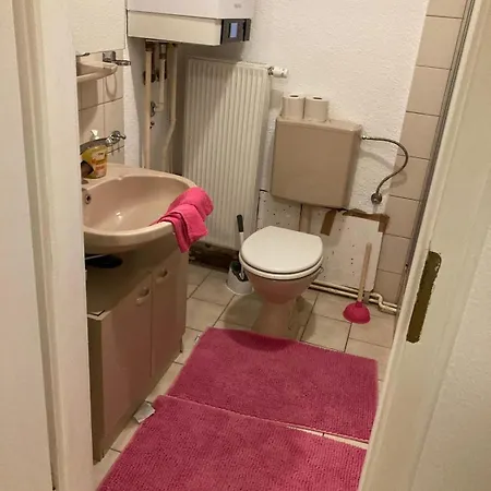 Cozy Big Luxus Schwetzingerstadt Oststadt * Μάνχαιμ