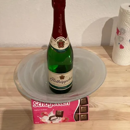 Cozy Big Luxus Schwetzingerstadt Oststadt * Μάνχαιμ