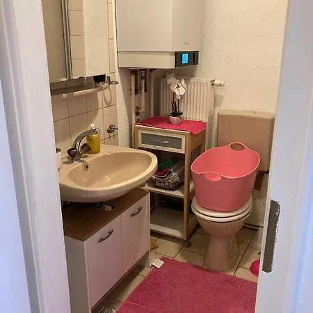 Cozy Big Luxus Schwetzingerstadt Oststadt 아파트 *
