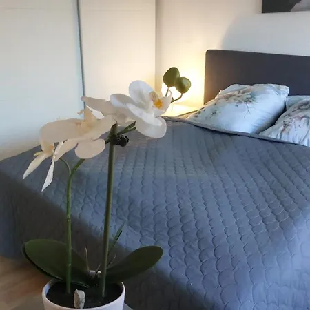 Cozy Big Luxus Schwetzingerstadt Oststadt 아파트 만하임