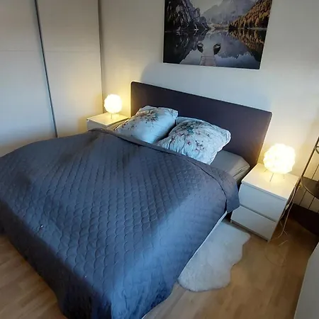 아파트 Cozy Big Luxus Schwetzingerstadt Oststadt 만하임