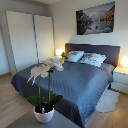 Cozy Big Luxus Schwetzingerstadt Oststadt 아파트 *